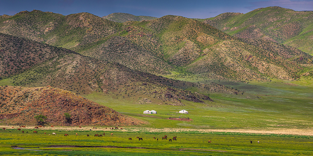 Flights to Mongolia